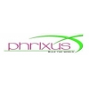 Monisha Nagendran terminated from phrixus consulting due to nonperformence