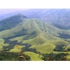 Save the Westen Ghats - Get the UNESCO Heritage tag..!