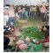 Stringent action be taken against culprits of leopard killing and consumption