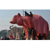 The wastage of public money in making and in covering of the elephants statues.